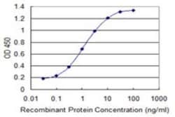 SUPT16H Antibody (4D6), Novus Biologicals 0.1 mg | Buy Online | Novus Biologicals | Fisher Scientific