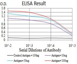 SUZ12 Antibody (2B9G12) - BSA Free, Novus Biologicals 0.1 ml; Unconjugated:Antibodies,