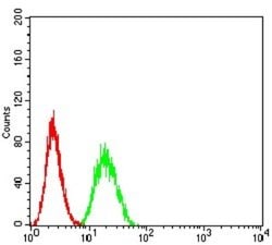 SUZ12 Antibody (2B9G12) - BSA Free, Novus Biologicals 0.1 ml; Unconjugated:Antibodies,