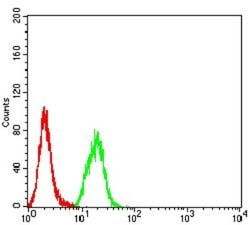 SYK Antibody (2G11E6) - BSA Free, Novus Biologicals 0.1 ml; Unconjugated:Antibodies,