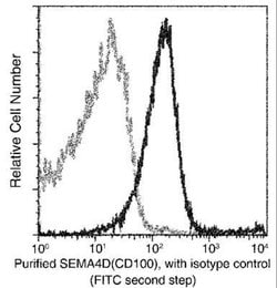 Semaphorin 4D/CD100 Rabbit anti-Mouse, Clone: 10, Novus Biologicals:Antibodies:Primary