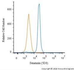 Senataxin Antibody (5D8) - Azide and BSA Free, Novus Biologicals 0.1 mg;