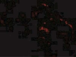 Septin-4 Antibody - BSA Free, Novus Biologicals 0.025 mg; Unconjugated:Antibodies,