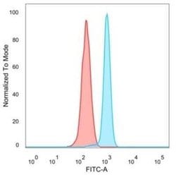 Serum Response Factor SRF Mouse anti-Human, Clone: PCRP-SRF-1F7, Novus