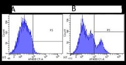 Siglec-2/CD22 Antibody (hL22 (Epratuzumab)) - Chimeric - Azide and BSA
