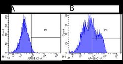 Siglec-2/CD22 Antibody (hL22 (Epratuzumab)) - Chimeric - Azide and BSA