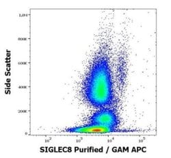 Siglec-8 Antibody (7C9) - BSA Free, Novus Biologicals 0.1 mg; Unconjugated:Antibodies,