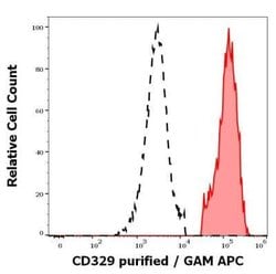 Siglec-9 Antibody (K8) - BSA Free, Novus Biologicals 0.1 mg; Unconjugated:Antibodies,