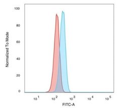 Smad3 Mouse anti-Human, Clone: PCRP-SMAD3-1A2, Novus Biologicals:Antibodies:Primary