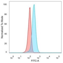 Smad9 Mouse anti-Human, Clone: PCRP-SMAD9-2F4, Novus Biologicals:Antibodies:Primary