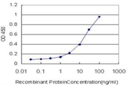 Smoothened Antibody (2F8), Novus Biologicals 0.1 mg | Buy Online | Novus Biologicals | Fisher Scientific