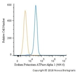 Sodium Potassium ATPase Alpha 1 Antibody (464.6) - Azide and BSA Free,