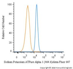Sodium Potassium ATPase Alpha 1 Antibody (464.6), Alexa Fluor 647, Novus