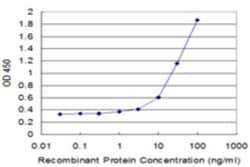 SorLA Antibody (3F2), Novus Biologicals 0.1 mg, Unconjugated:Anticorps,
