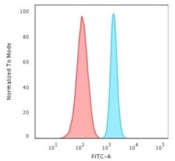 Spectrin beta 3 Rabbit anti-Human, Clone: SPTBN2/2887R, Novus Biologicals:Antibodies:Primary