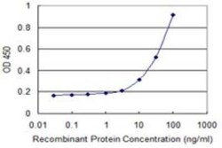 Stonin-1 Antibody (1F3), Novus Biologicals 0.1 mg | Buy Online | Novus Biologicals | Fisher Scientific