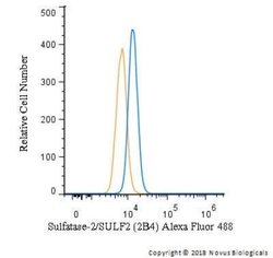 Sulfatase-2/SULF2 Antibody (2B4) - Azide and BSA Free, Novus Biologicals