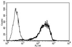 Syndecan-1/CD138 Antibody (B-A38) - Azide and BSA Free, Novus Biologicals 200 &mu;g | Buy Online | Novus Biologicals | Fisher Scientific