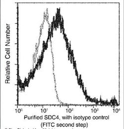 Syndecan-4 Rabbit anti-Mouse, Clone: 112, Novus Biologicals:Antibodies:Primary
