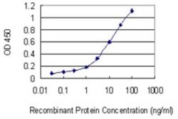 Novus Biologicals Syntaxin 8 Antibody (2H1-1D11), Novus Biologicals 0.1 mg | Buy Online | Novus Biologicals&trade; | Fisher Scientific