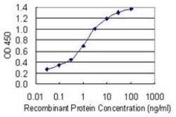 TACC3 Antibody (6C4), Novus Biologicals 50 &mu;g | Buy Online | Novus Biologicals | Fisher Scientific