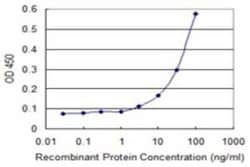 TADA3L Antibody (3H3), Novus Biologicals 0.1 mg, Unconjugated:Antibodies,