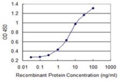TAF6L Antibody (1C5), Novus Biologicals 0.1 mg | Buy Online | Novus Biologicals | Fisher Scientific