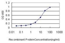 TAK1 Antibody (2E10), Novus Biologicals 0.1 mg | Buy Online | Novus Biologicals | Fisher Scientific