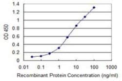 Novus Biologicals TAK1 Antibody (3C9), Novus Biologicals 0.1 mg | Buy Online | Novus Biologicals&trade; | Fisher Scientific