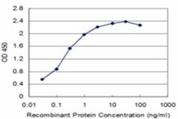 TAL2 Antibody (1G6), Novus Biologicals 0.1 mg | Buy Online | Novus Biologicals | Fisher Scientific