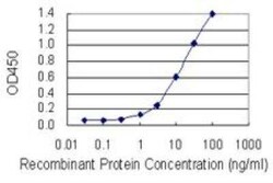 TCN1 Antibody (3F10), Novus Biologicals 0.1 mg | Buy Online | Novus Biologicals | Fisher Scientific