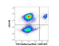 TCR V delta 2 Antibody (B6) - BSA Free, Novus Biologicals 0.1 mg | Buy Online | Novus Biologicals | Fisher Scientific