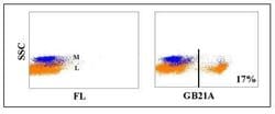 TCR1-N24 Antibody (GB21A), Novus Biologicals 0.1mg:Antibodies, Monoclonal