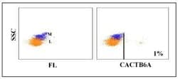 TCR1-N6 Antibody (CACTB6A), Novus Biologicals 0.1mg:Antibodies, Monoclonal