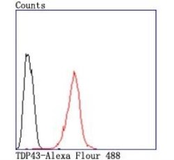 TDP-43/TARDBP Antibody (JM51-10), Novus Biologicals 100 &mu;L | Buy Online | Novus Biologicals | Fisher Scientific