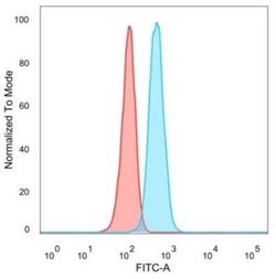 TDRKH Mouse anti-Human, Clone: PCRP-TDRKH-1H2, Novus Biologicals:Antibodies:Primary