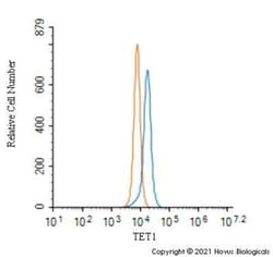 TET1 Antibody - BSA Free, Novus Biologicals:Antibodies:Primary Antibodies