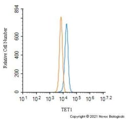 TET1 Antibody - BSA Free, Novus Biologicals:Antibodies:Primary Antibodies