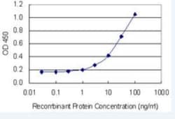 TFIIS Antibody (7E11), Novus Biologicals 100 &mu;g | Buy Online | Novus Biologicals | Fisher Scientific