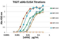 TIGIT Antibody (2D7) - VHH - Azide and BSA Free, Novus Biologicals 0.1