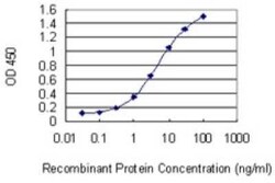 TIPIN Antibody (1G11), Novus Biologicals 0.1 mg | Buy Online | Novus Biologicals | Fisher Scientific