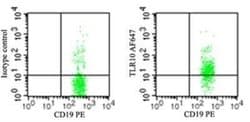 TLR10 Antibody (3C10C5), Novus Biologicals:Antikörper:Primärantikörper
