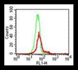 TLR9 Antibody (eB72-1665) - BSA Free, Novus Biologicals:Antibodies:Primary