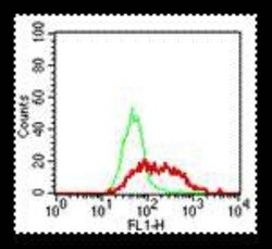 TLR9 Antibody (eB72-1665) - BSA Free, Novus Biologicals:Antibodies:Primary