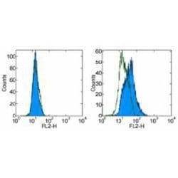 TLR9 Antibody (eB72-1665) - BSA Free, Novus Biologicals:Antibodies:Primary