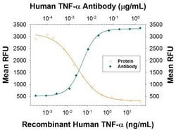 TNF-alpha Antibody (2342C) - Low Endotoxin, Azide and BSA Free, Novus Biologicals:Antibodies:Primary