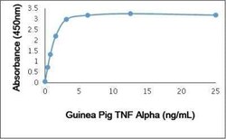 TNF-alpha Antibody, Novus Biologicals 0.1 mg; Unconjugated:Antibodies,