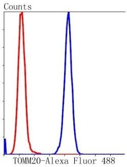 TOMM20 Antibody (ST04-72), Novus Biologicals 100&mu;L:Antibodies, Monoclonal