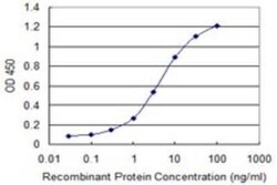 TOMM22 Antibody (4G4), Novus Biologicals 0.1 mg | Buy Online | Novus Biologicals | Fisher Scientific