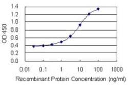 TORC1 Antibody (8F9), Novus Biologicals 0.1 mg | Buy Online | Novus Biologicals | Fisher Scientific